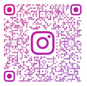footer_code_ins
